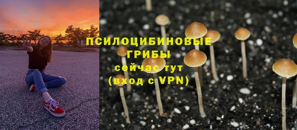 МДМА Чердынь