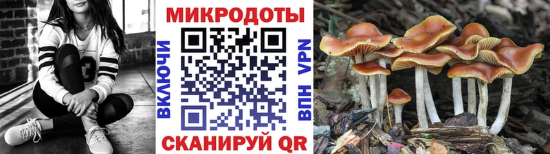 продажа наркотиков  Алупка  Галлюциногенные грибы прущие грибы 